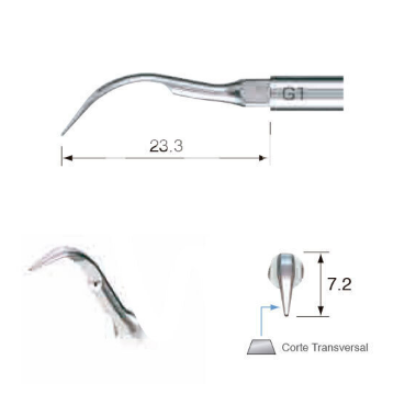 G1 Scaling Tip for Woodpecker, Ems & Bonnart